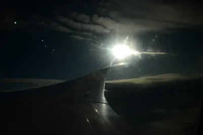 DSC_9804 (Large).JPG